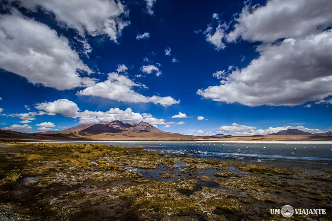 Laguna Cañapas, Bolívia