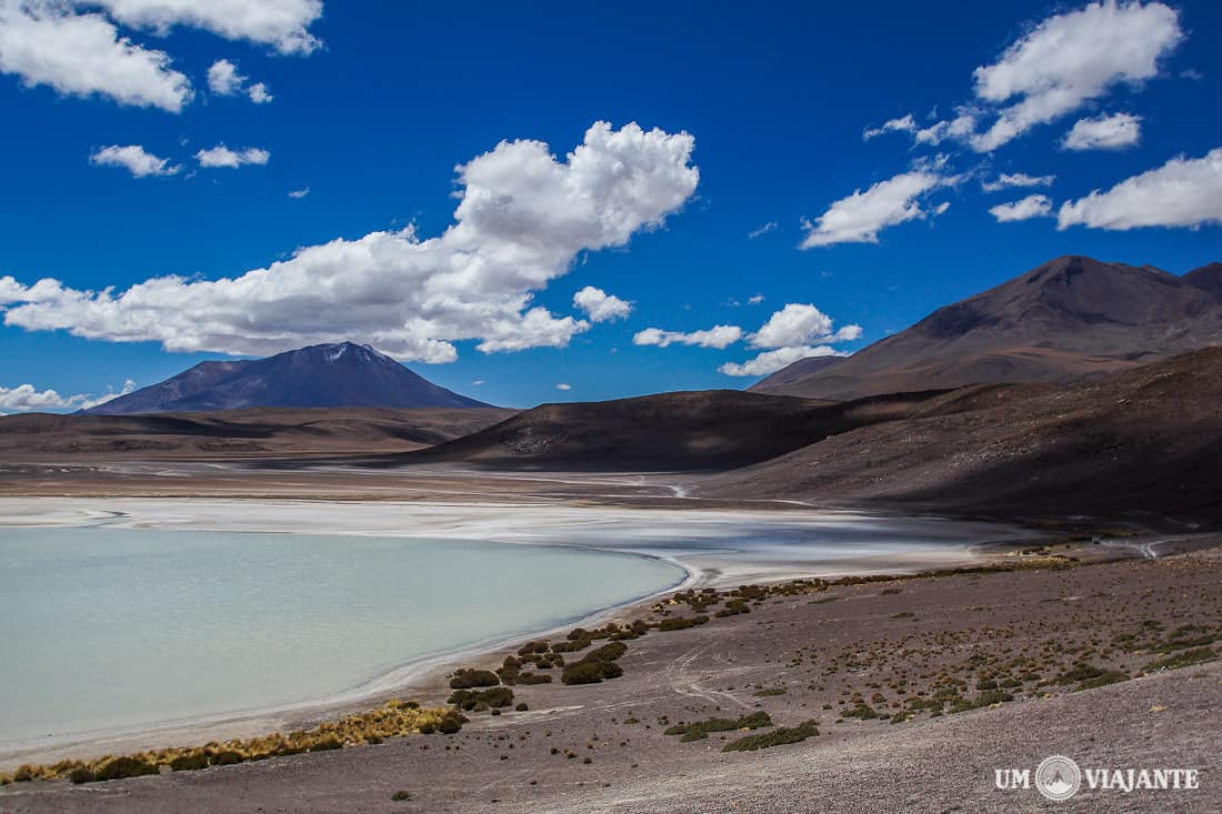 Laguna Honda - Altiplânicas Bolívia