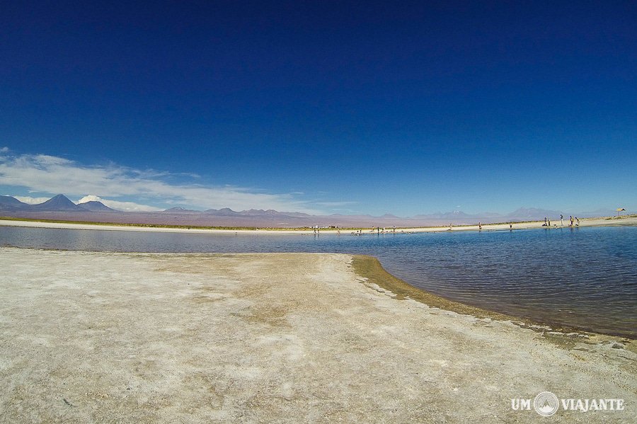 Laguna Cejar