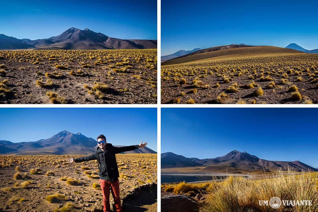 Lagunas Altiplânicas, Reserva Nacional Los Flamencos