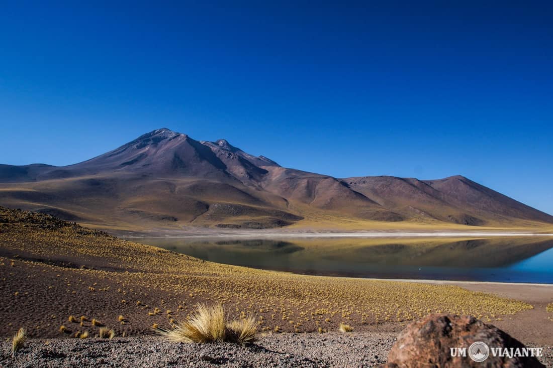 Laguna Miñique - Lagunas Altiplânicas, Chile