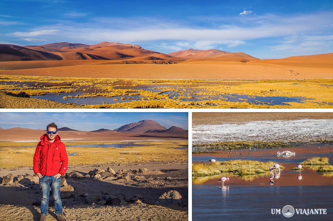 Salar de Aguas Calientes