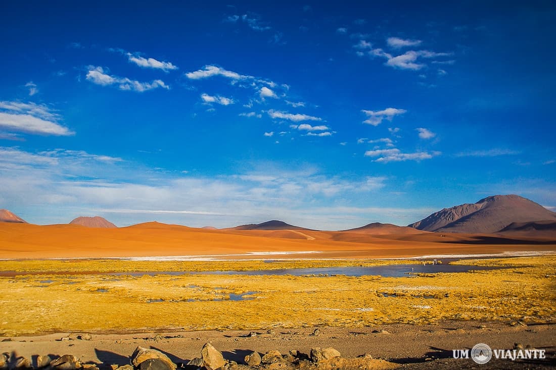 Salar de Aguas Calientes