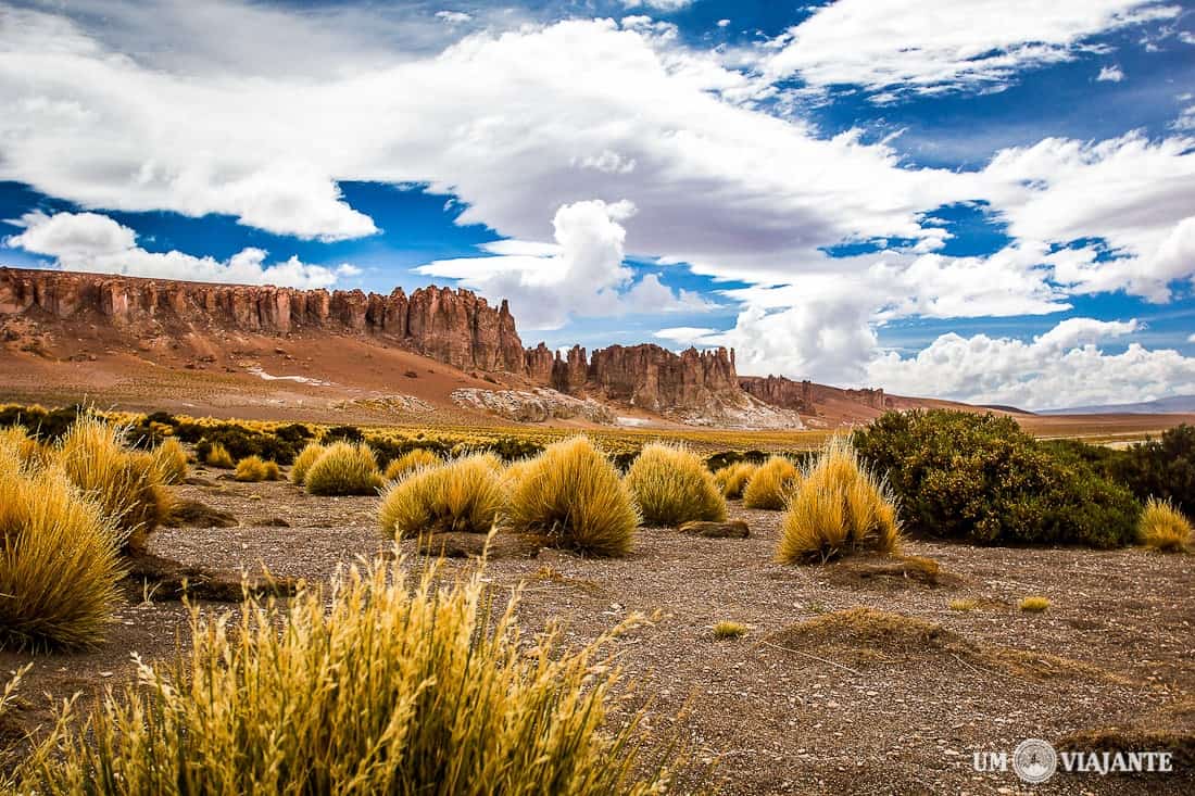 Catedrais de Tara, Atacama