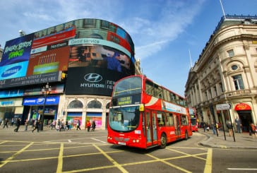 Barata tonta em Londres