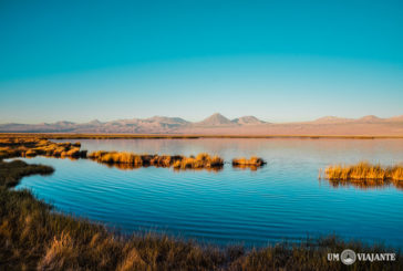 Passeios no Atacama com desconto exclusivo!