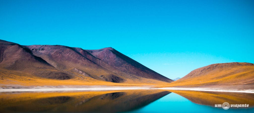 Lagunas Altilplânicas - Laguna Miñiques - Atacama