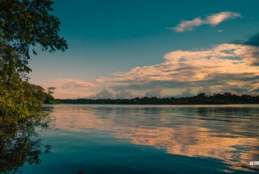 Quando ir para a Amazônia: clima e melhor época para viajar