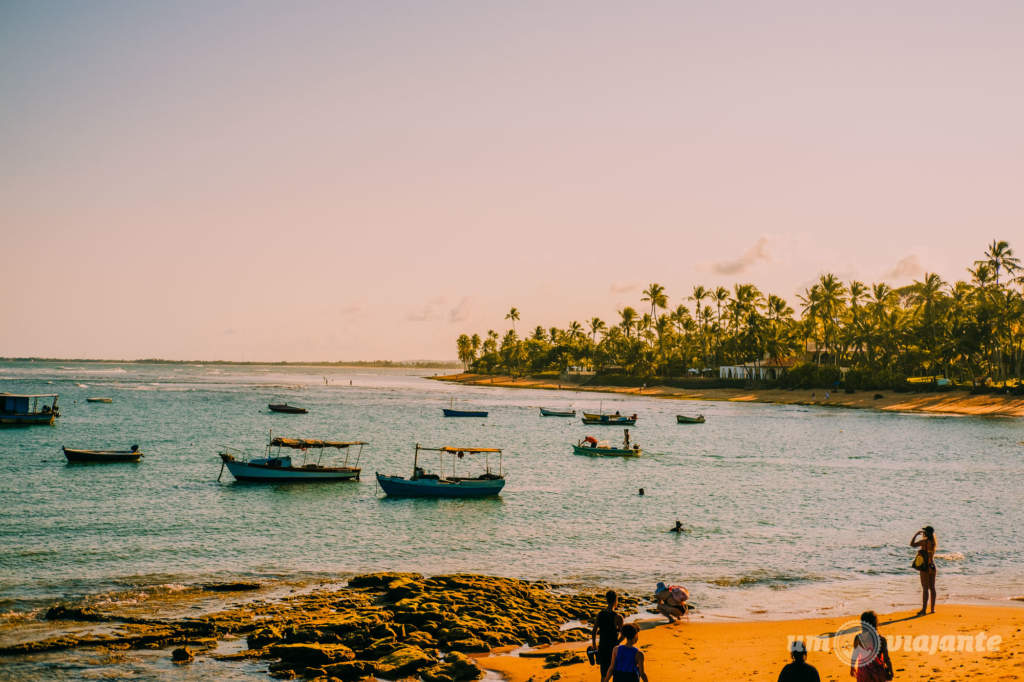 Praia do Forte e Projeto Tamar