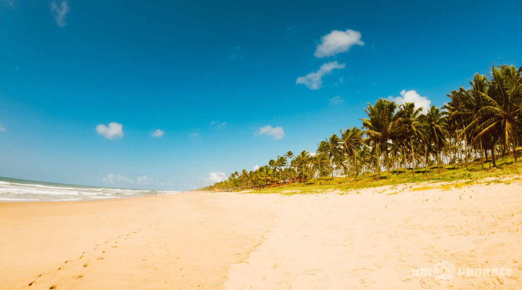 Grand Palladium Imbassaí - Praia