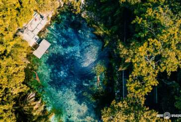 Nascente Azul em Bonito-MS: vale a pena? Como é a flutuação, tirolesa e preço