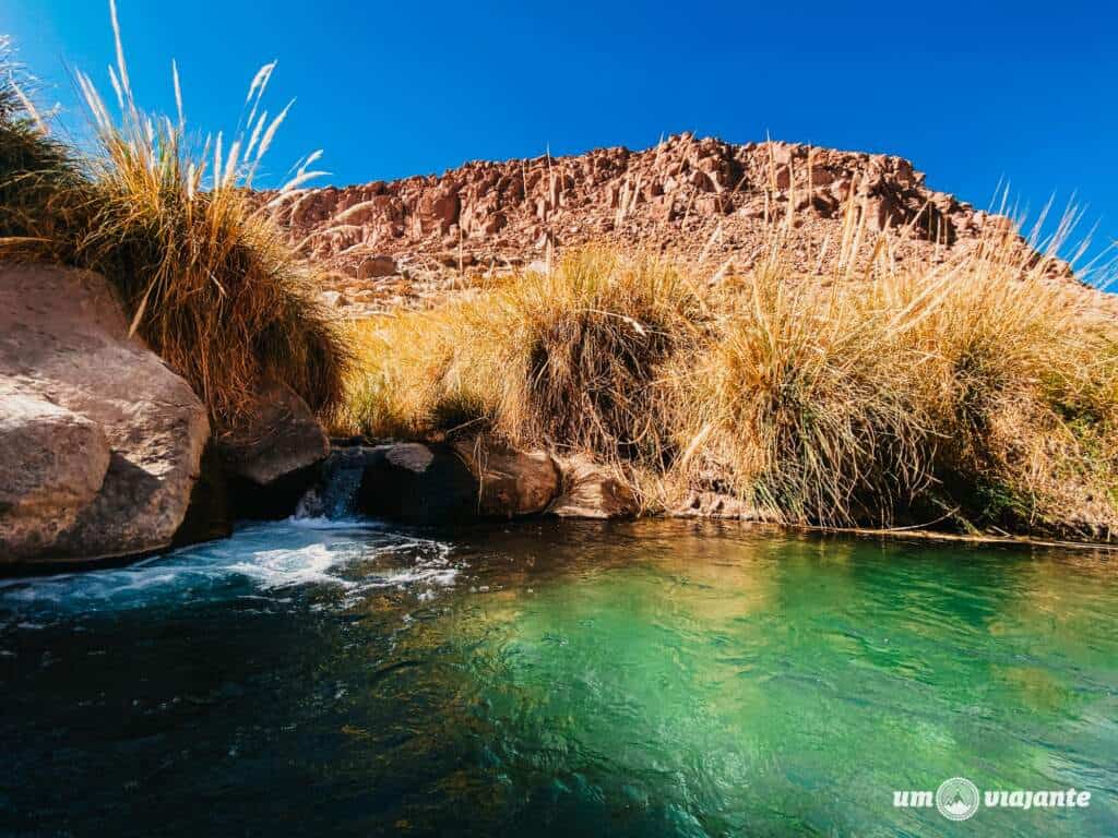 Lua de Mel Atacama: Termas de Puritama