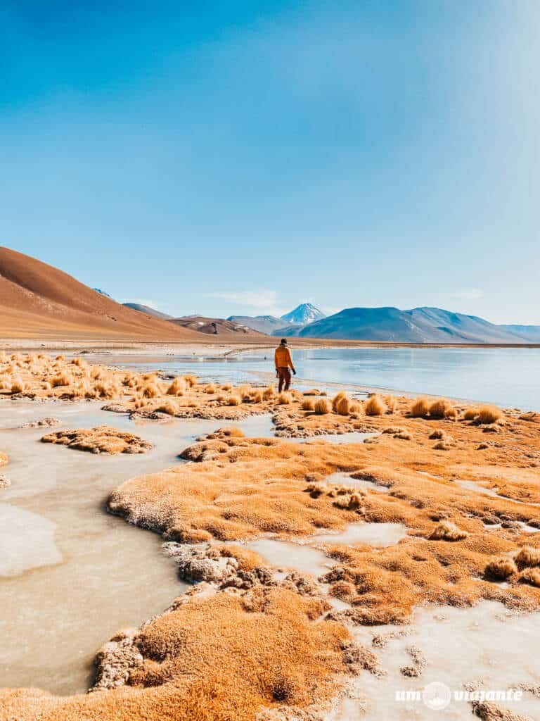 Lua de Mel no Atacama - Miragens Andinas