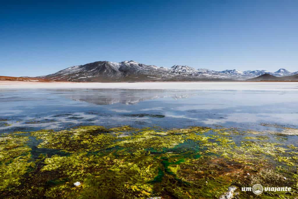 Laguna Blanca, Bolívia