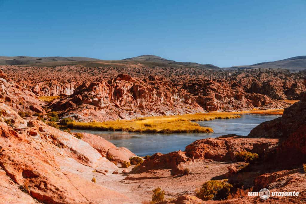 Laguna Catal - Bolívia