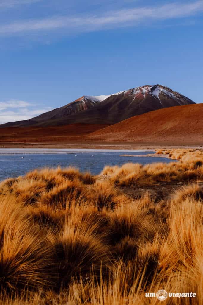 Lagunas Altiplânicas da Bolívia