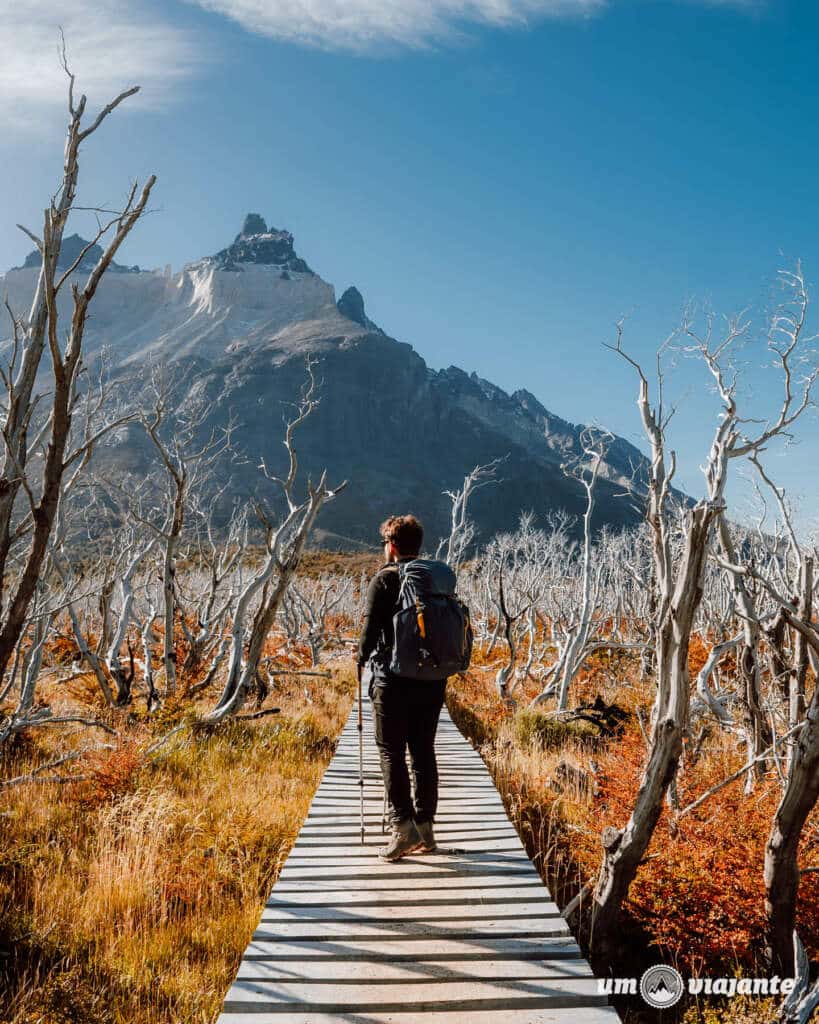 Trekking W Torres del Paine: Roteiro Dia 1