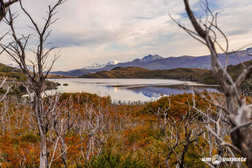 Trekking W Torres del Paine: com agência!