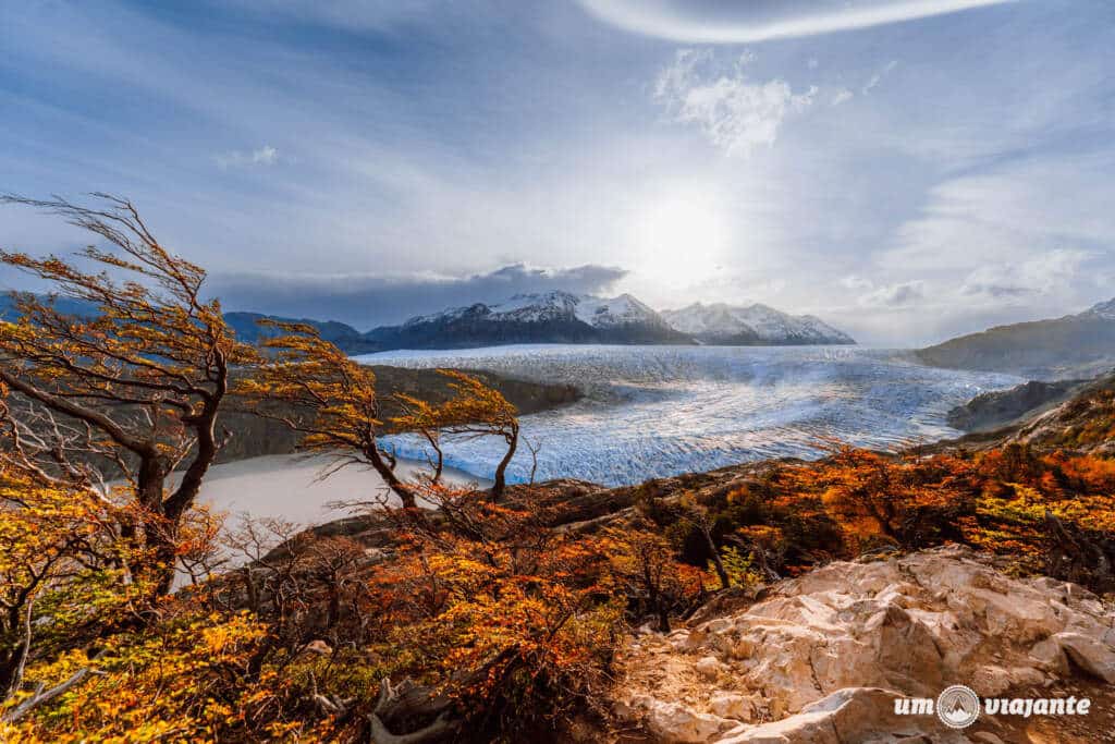 Puentes Colgantes em Torres del Paine