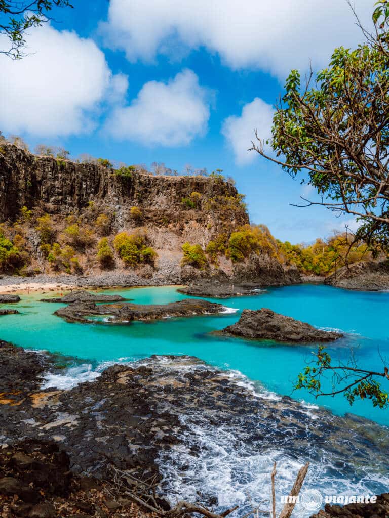 Baía dos Porcos: Ilha Tour Noronha