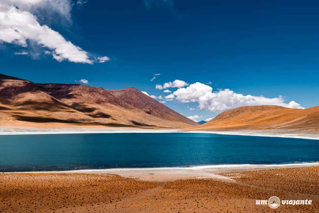 Lagunas Altiplânicas - Roteiro 5 Dias Atacama