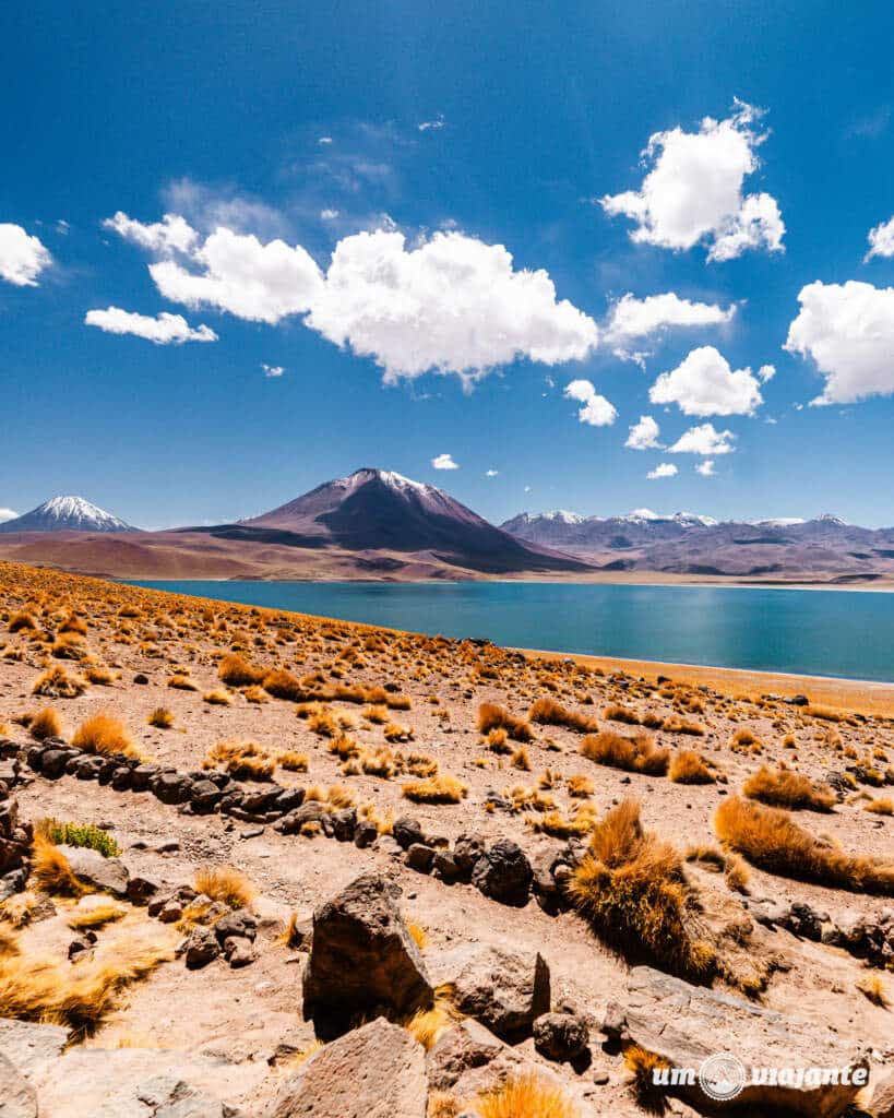 Lagunas Altiplânicas, Atacama - Chile