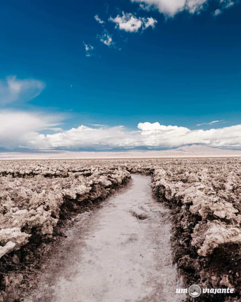 Salar de Atacama, Chile 