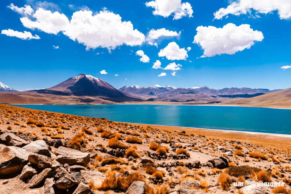 Lagunas Altiplânicas, Laguna Miscanti - Roteiro Deserto do Atacama