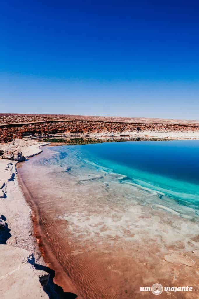 Lagunas Escondidas Baltinache: Deserto do Atacama, Incrível Passeio