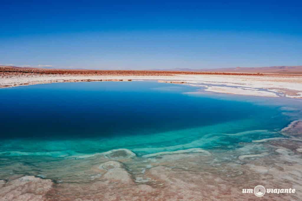 Lagunas Escondidas Baltinache: Deserto do Atacama, Incrível Passeio