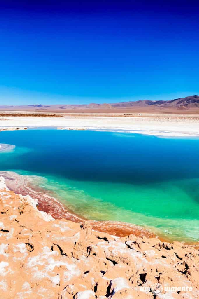 Lagunas Escondidas Baltinache: Deserto do Atacama, Incrível Passeio