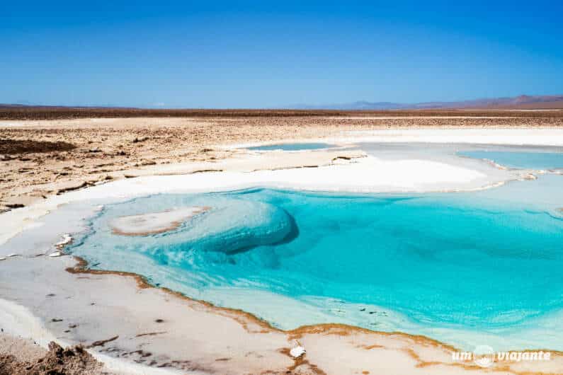 Lagunas Escondidas de Baltinache no Atacama: as lagoas azuis do deserto