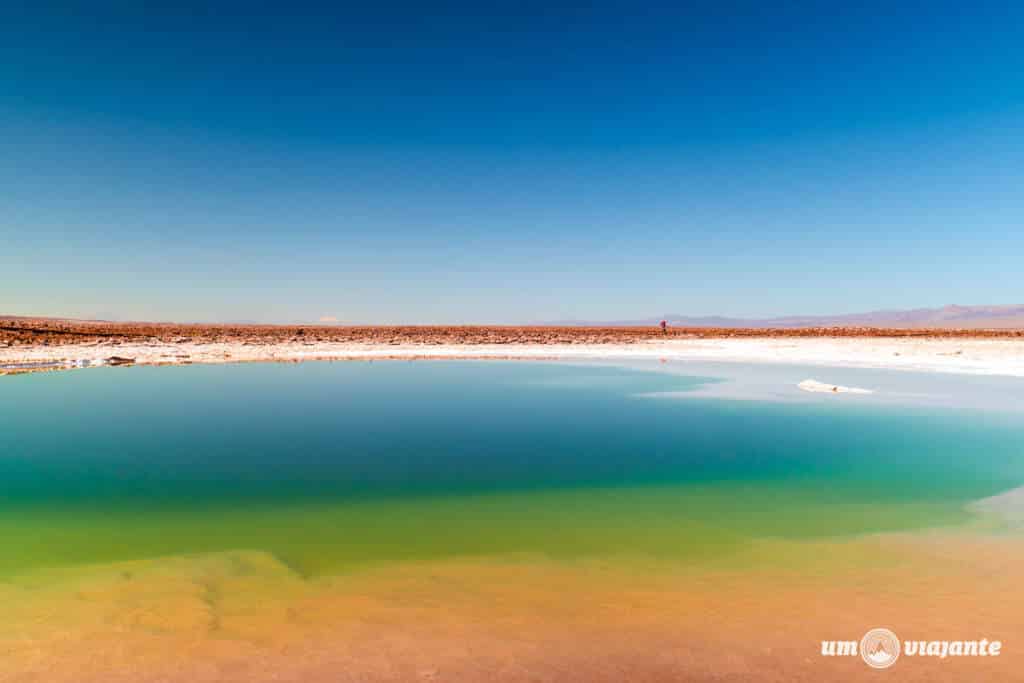 Lagunas Escondidas Baltinache: Deserto do Atacama, Incrível Passeio