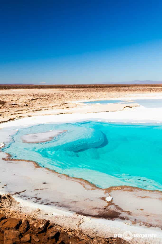 Lagunas Escondidas de Baltinache, Passeio Deserto do Atacama 