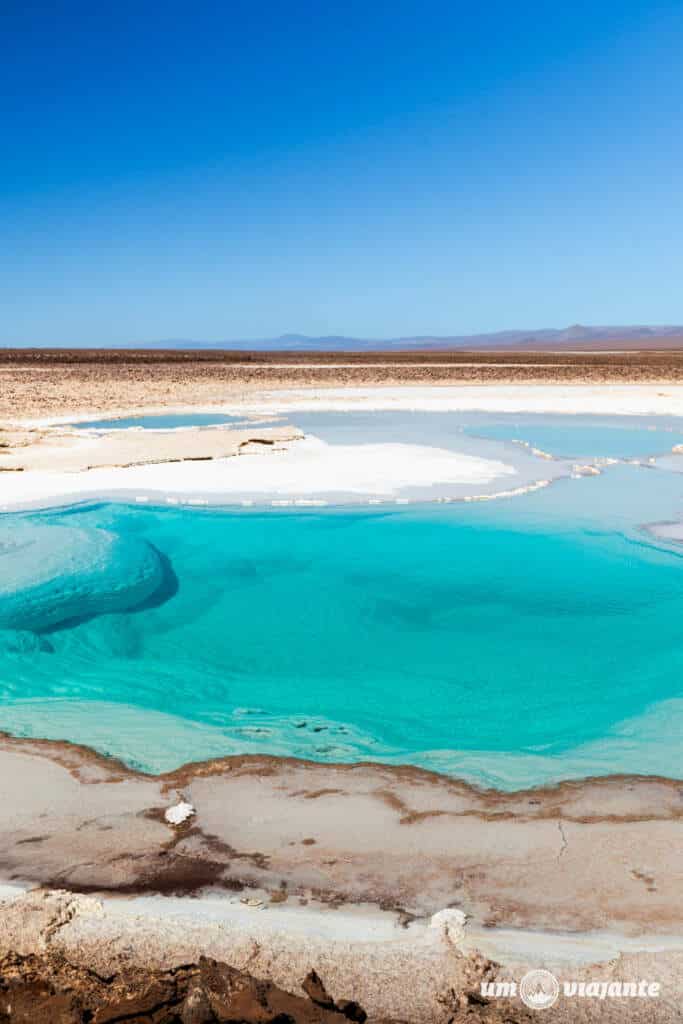  Lagunas Escondidas do Atacama - Passeio Baltinache, com FlaviaBia