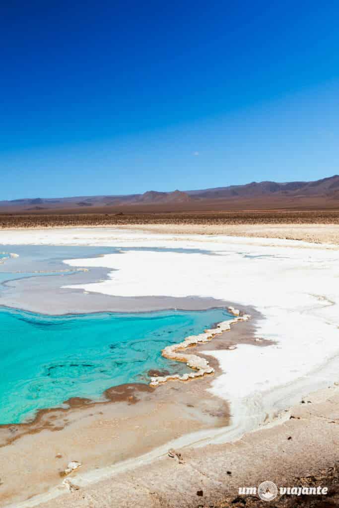  Lagunas Escondidas do Atacama - Passeio Baltinache, com FlaviaBia