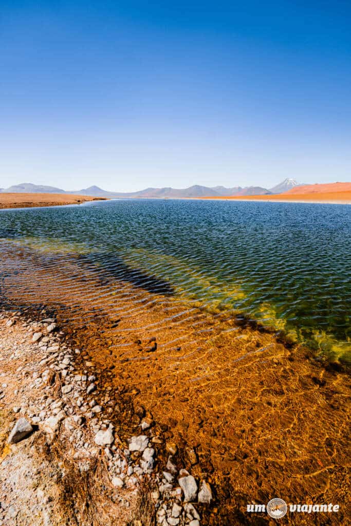 Lagoa Diamante, Monges del Altiplano - Roteiro Atacama