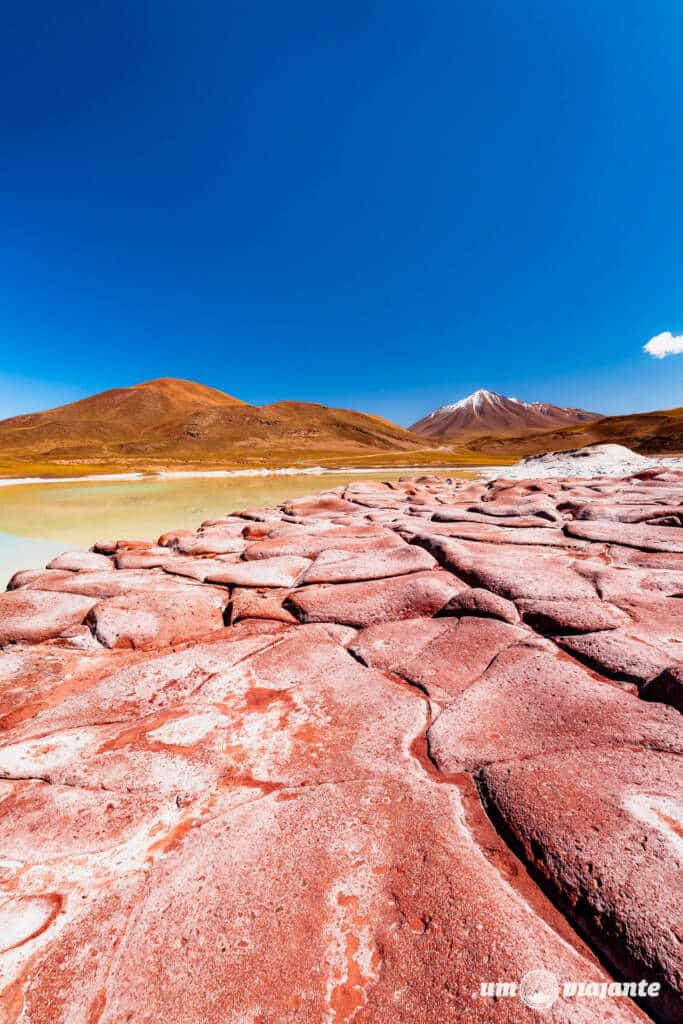 Piedras Rojas, Roteiro Deserto do Atacama